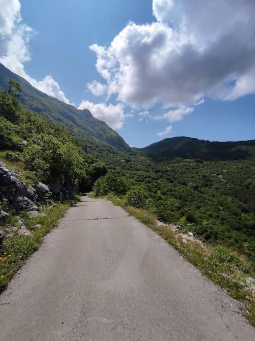 Nature Escape Montenegro コトル エクステリア 写真