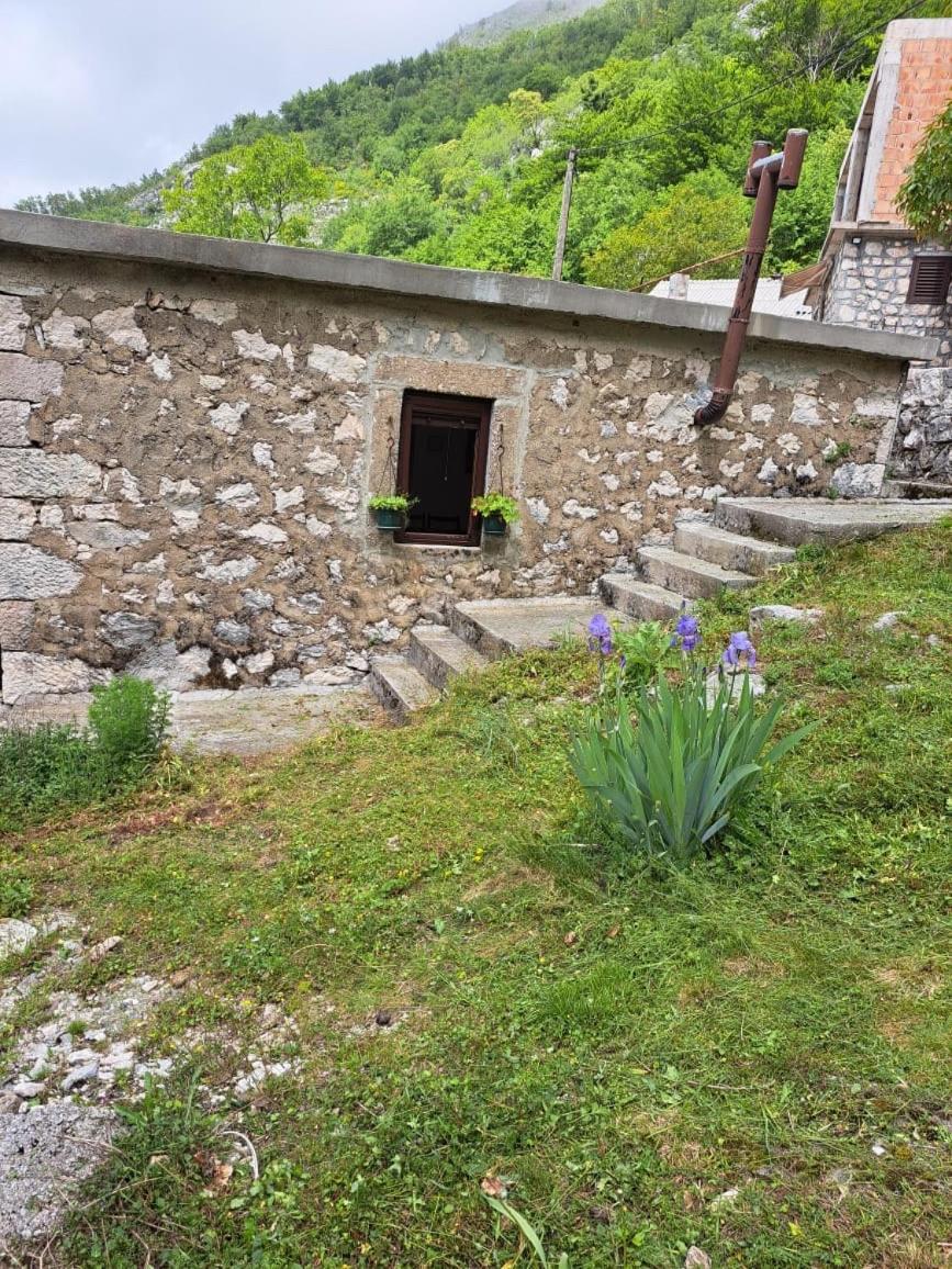 Nature Escape Montenegro コトル エクステリア 写真