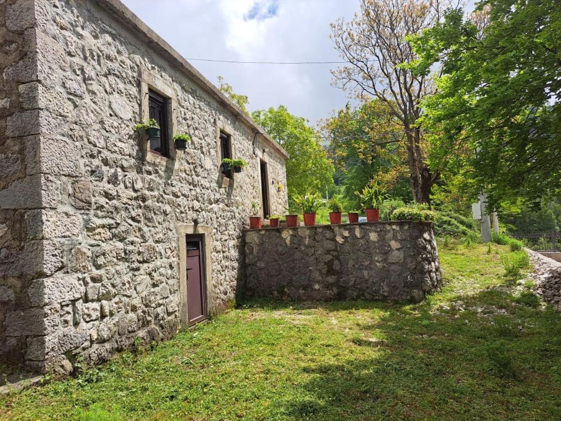 Nature Escape Montenegro コトル エクステリア 写真