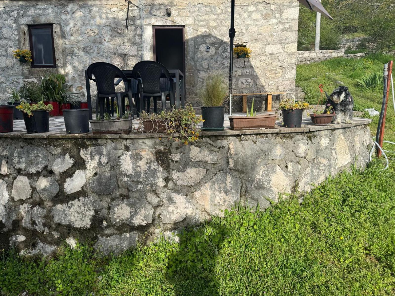 Nature Escape Montenegro コトル エクステリア 写真