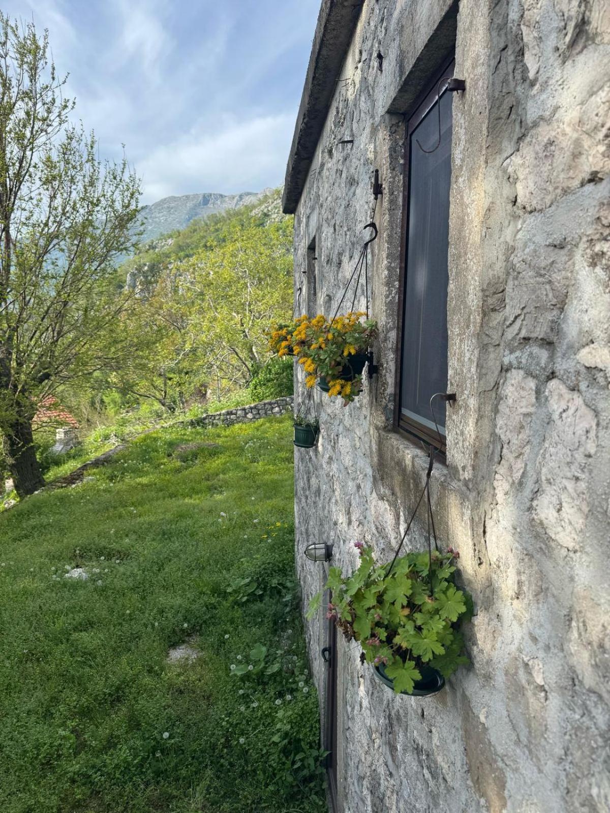 Nature Escape Montenegro コトル エクステリア 写真